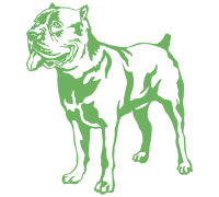 Italian Mastiff